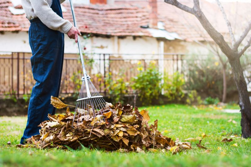 Mulching Leaves in the Yard