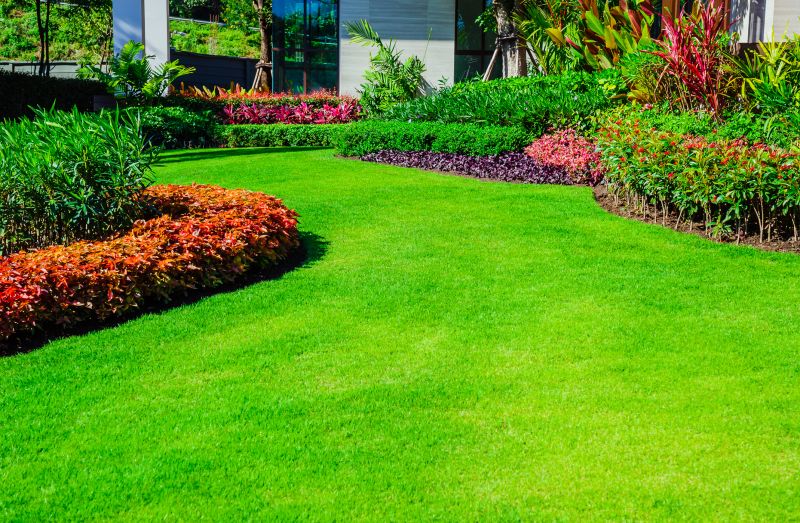 Lush, Vibrant Lawns