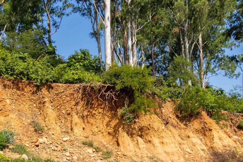 Erosion Control Contractors